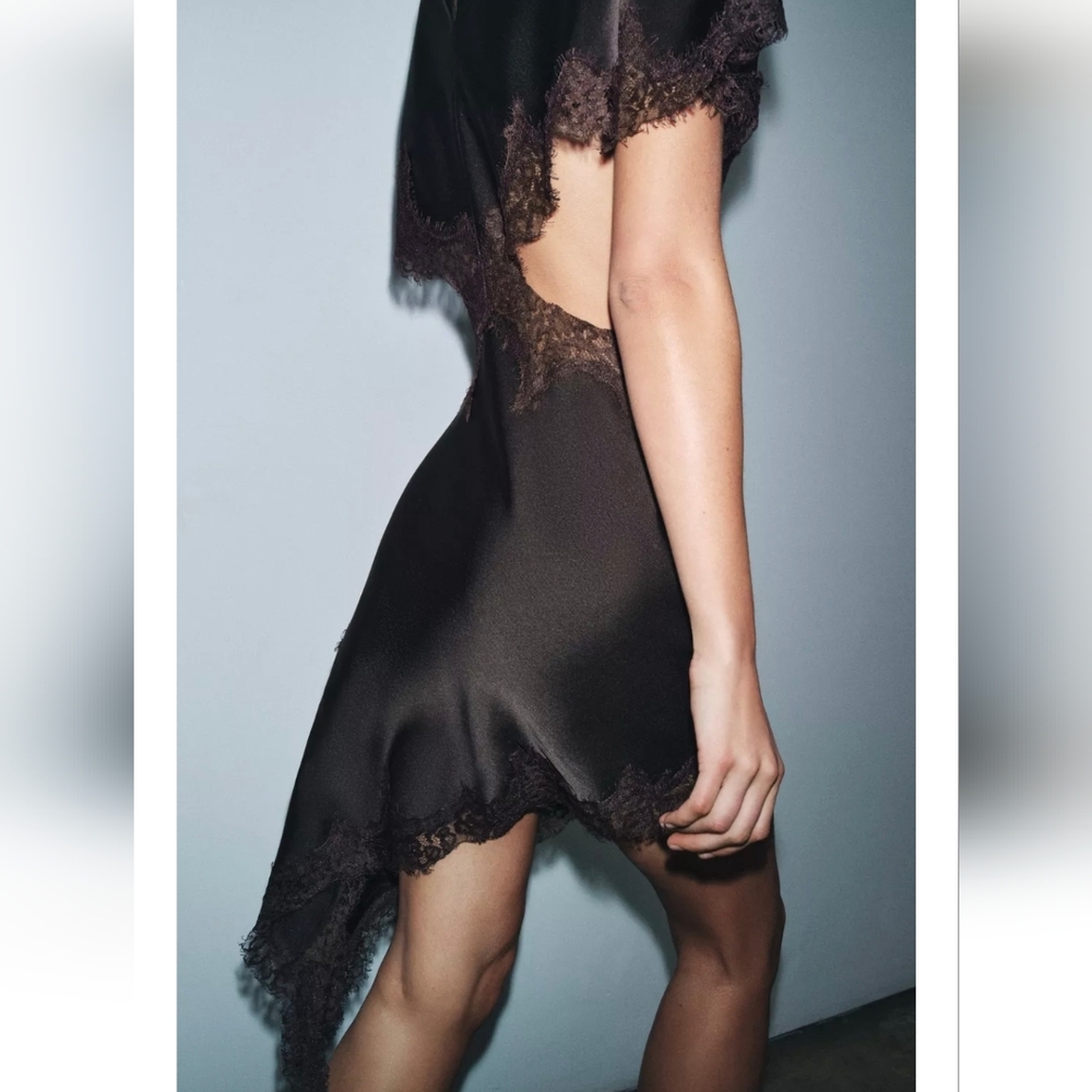 Zara ZW COLLECTION LACE CUT-OUT DRESS - Picture 4 of 10